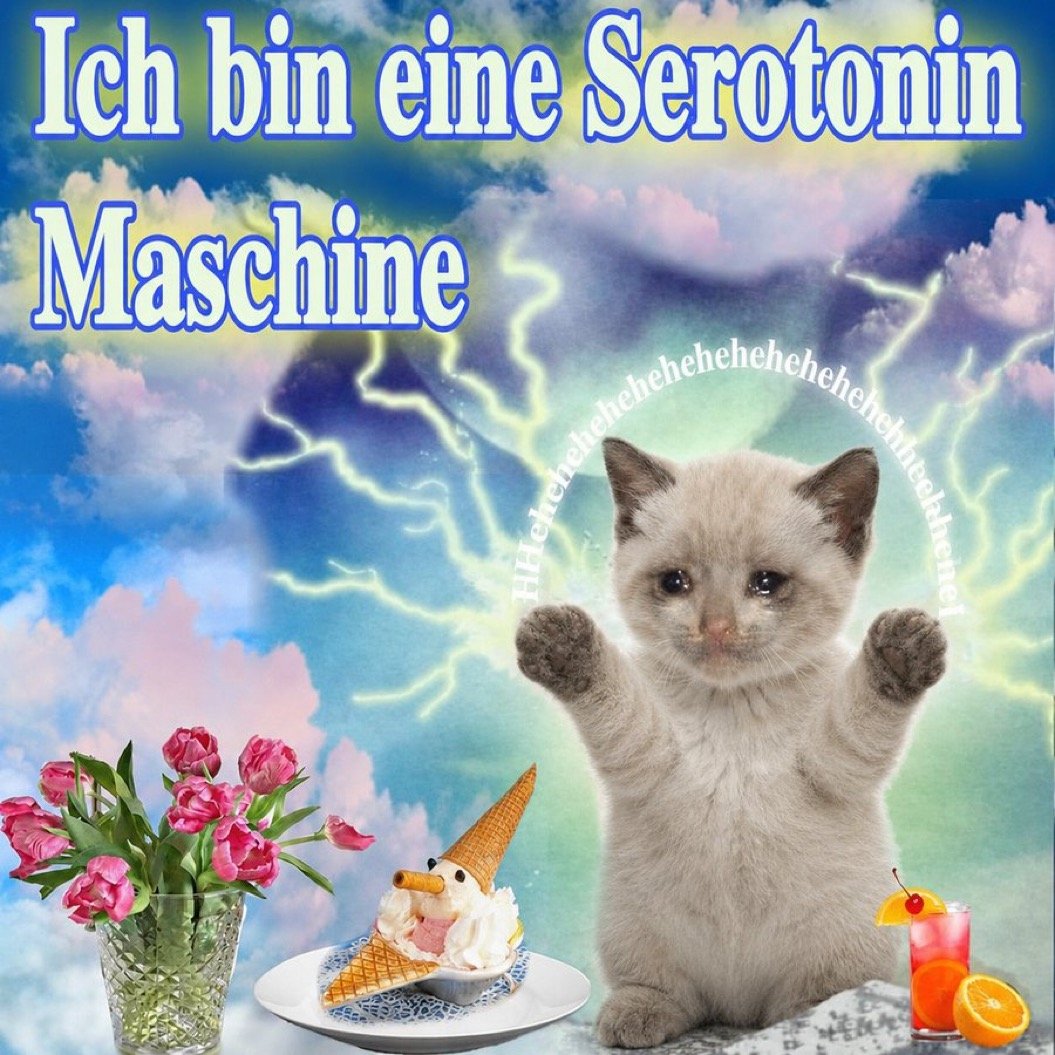 Seratonin Maschine