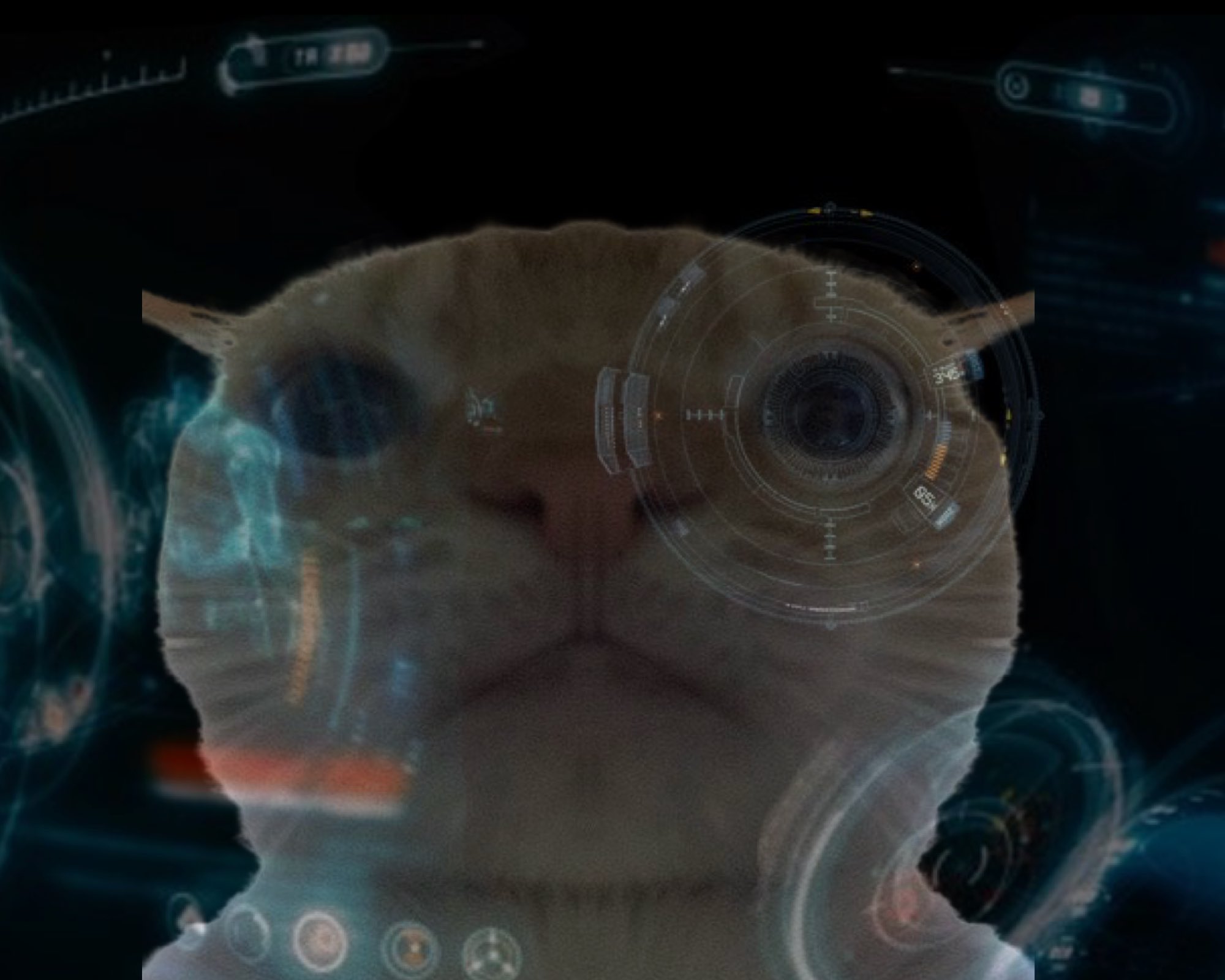 HOO2ltkW0AA3hbw.jpeg