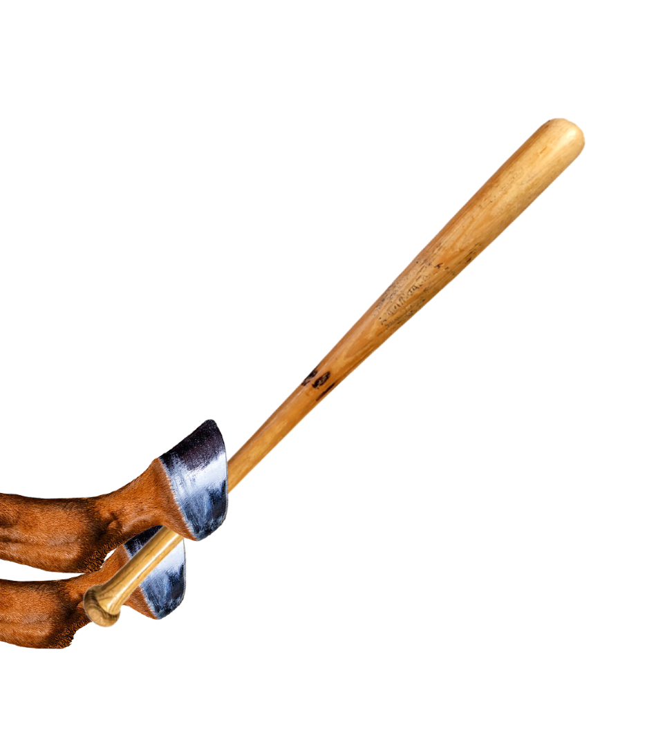 holding_bat.png