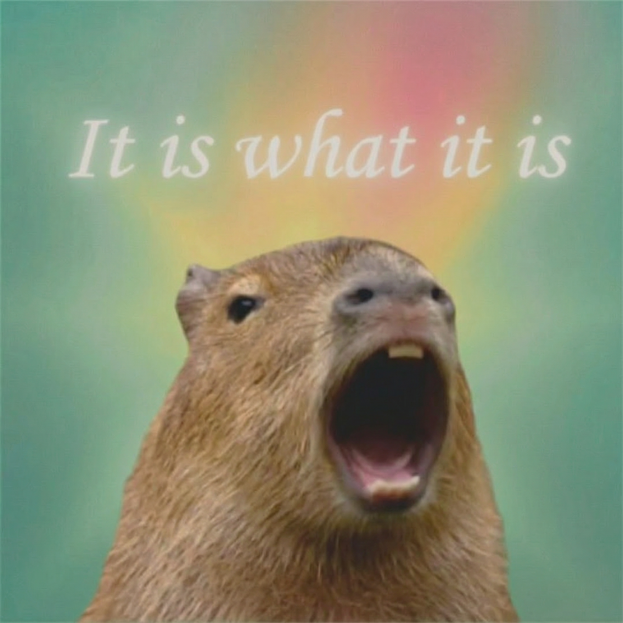 GeneratedImage (97).png