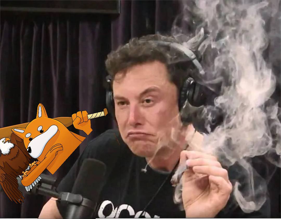 photo_2025-09-07 11.00.46.jpeg