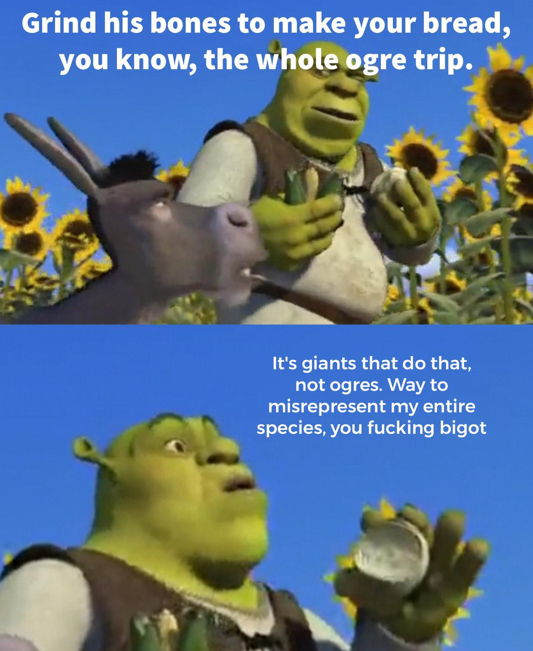 uf6z1w-Making_a_meme_from_every_line_in_Shrek__2001__Day_219-r6i32lccomw81.jpg