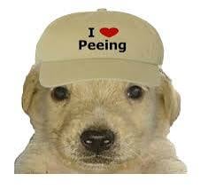 IMG_3888.jpeg
