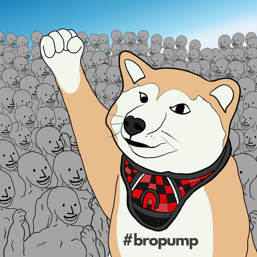 Copy of Copy of NEIRO BROPUMMP (1000 x 1000 px) (1).png