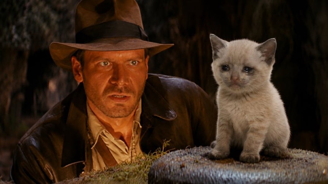 Kitten of Doom