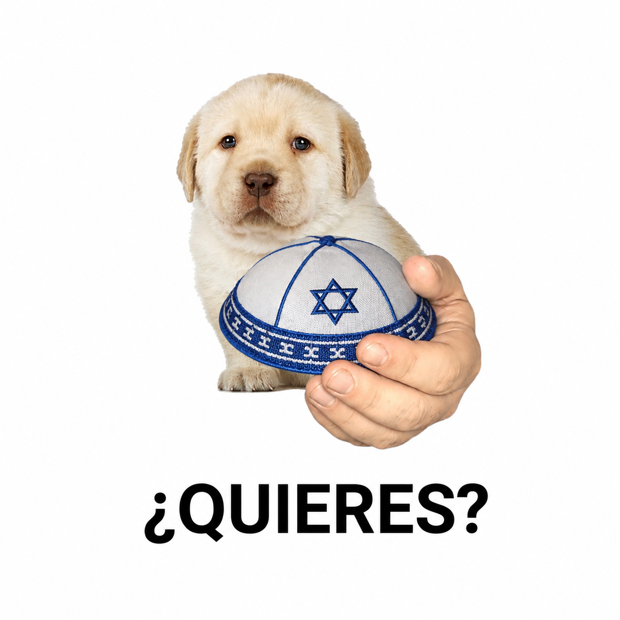 89C39D83-96CF-4F64-9D31-63A0283EDEC5.png