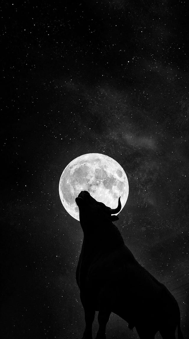 Bull moon