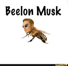 Elon Musk Google Memes (30).jpg