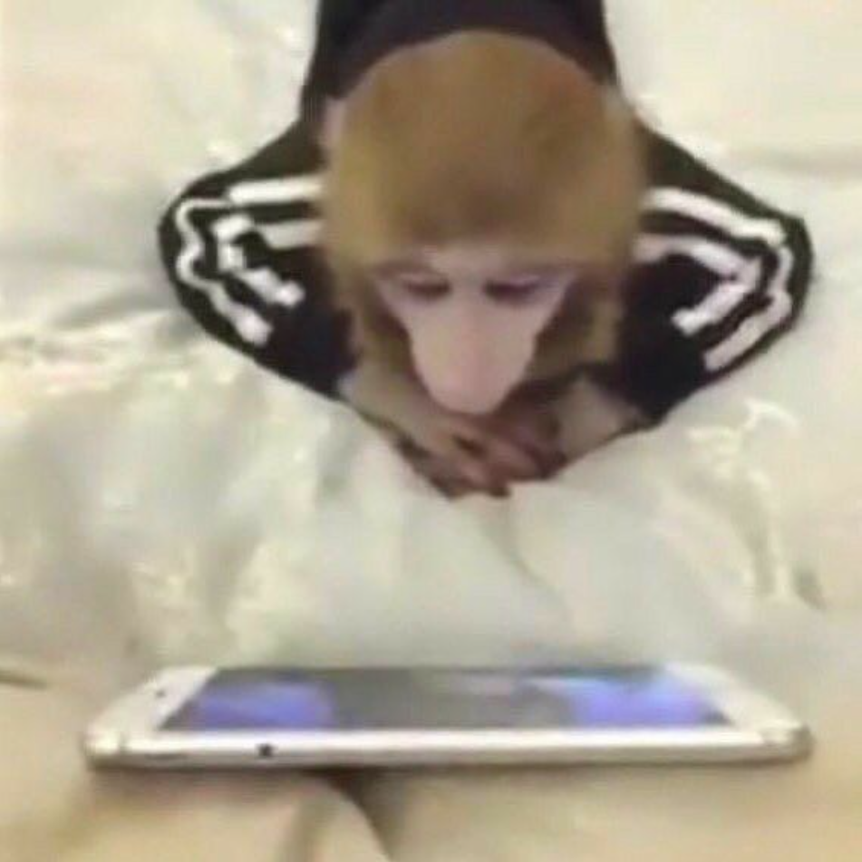 Screenshot 2023-07-18 at 10.42.05 AM.png