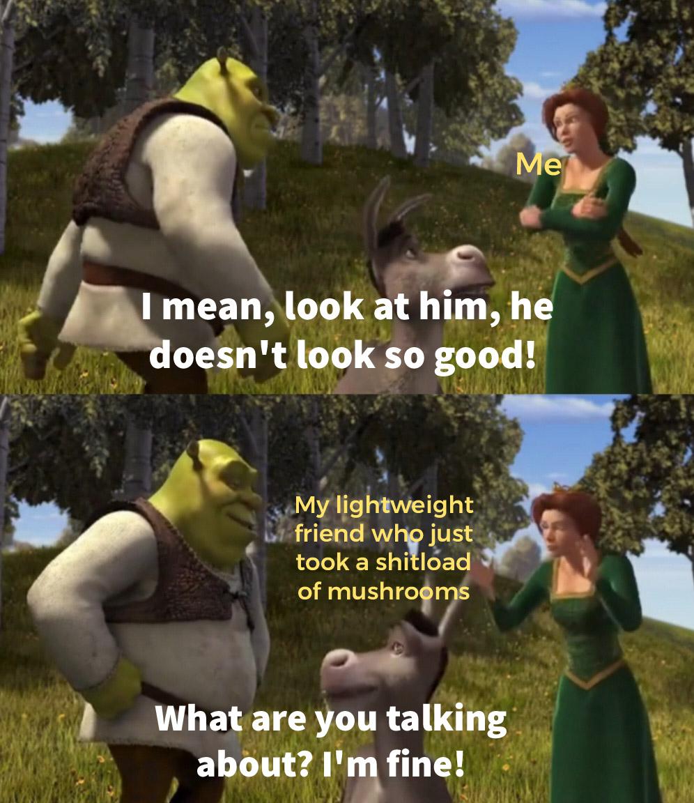 15dv0u2-Making_a_meme_from_every_line_in_Shrek__2001__Day_539-vg2d6nnzs5fb1.jpg
