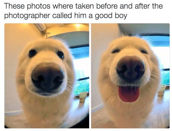 5bv9deh2z5eb1.jpg
