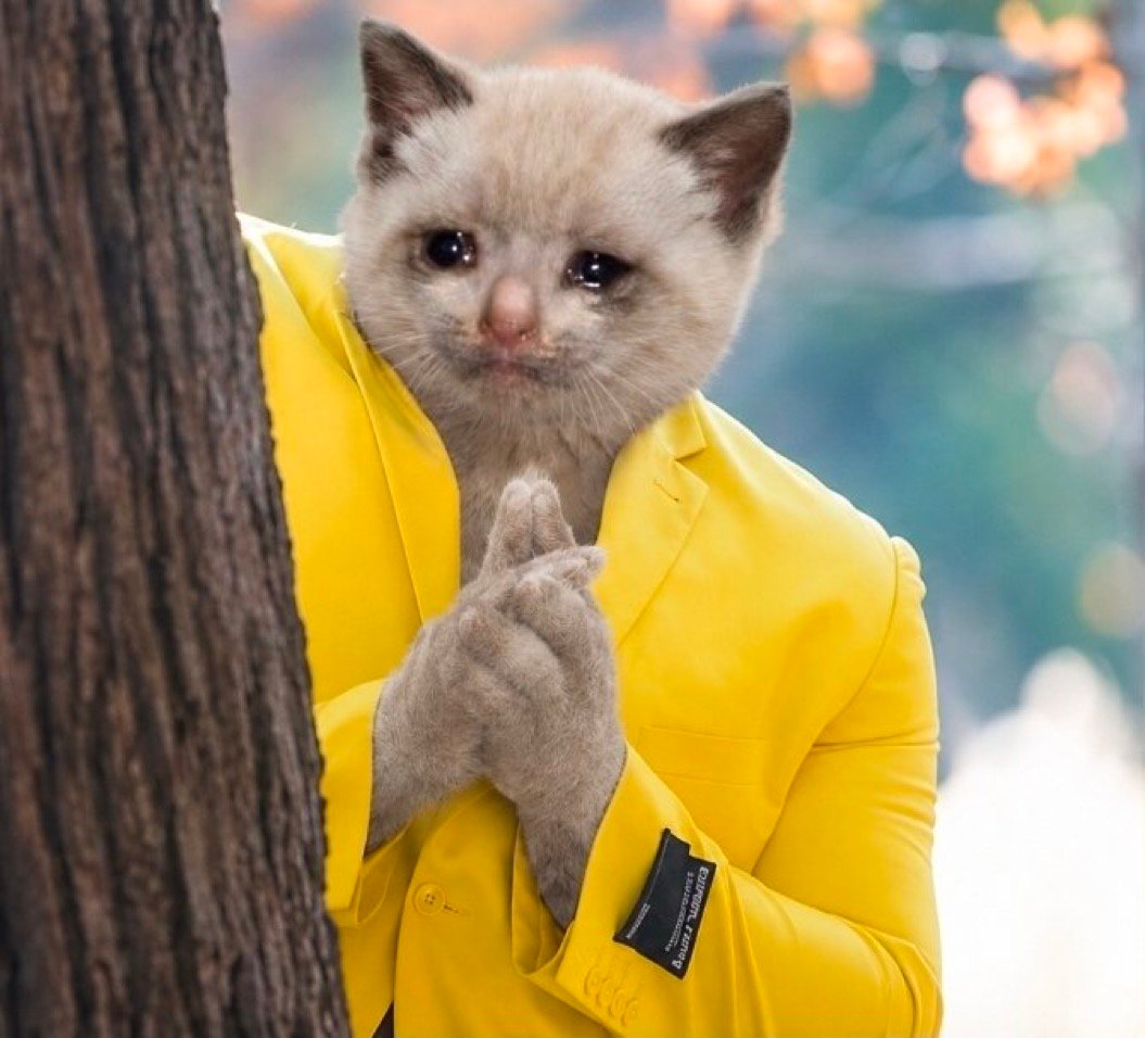 Meow meow
