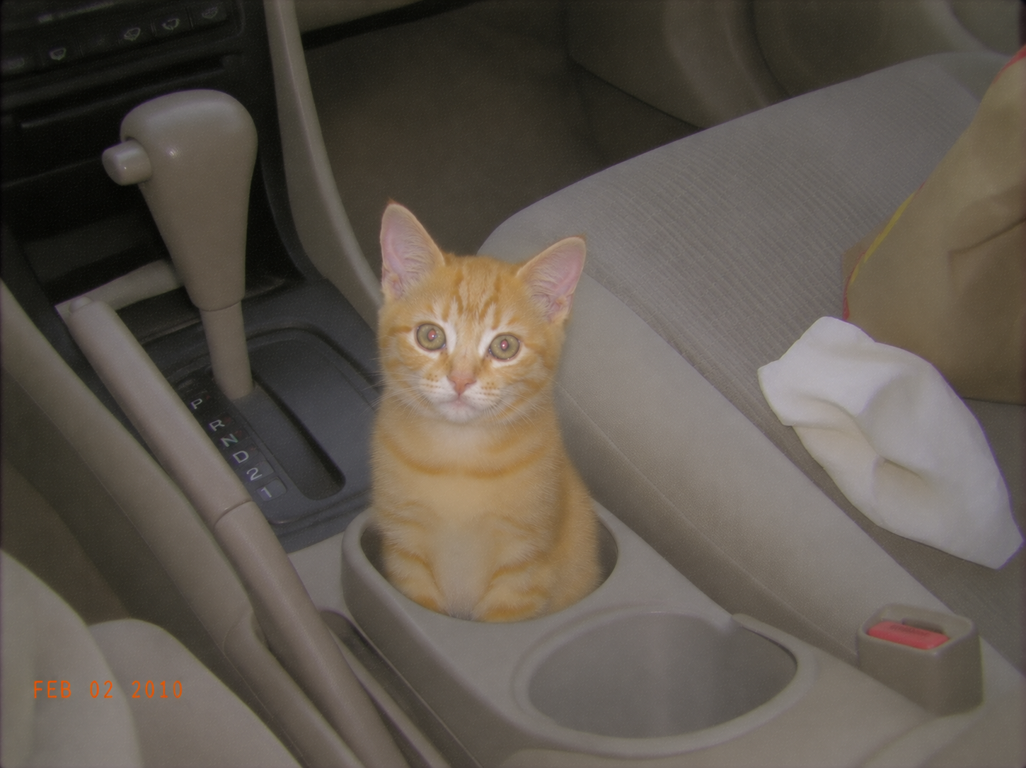 sirius-65-cupholder.png