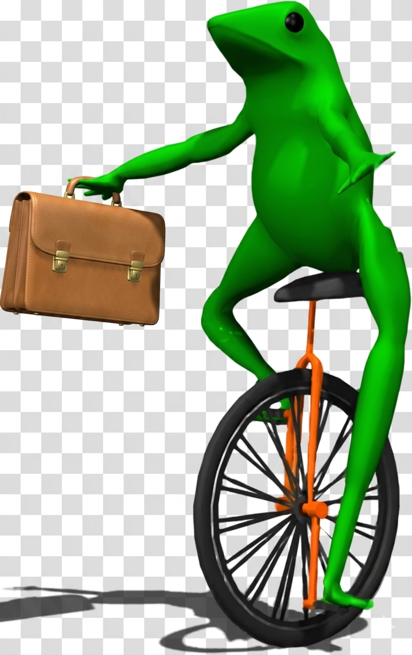 IMG_5896.png