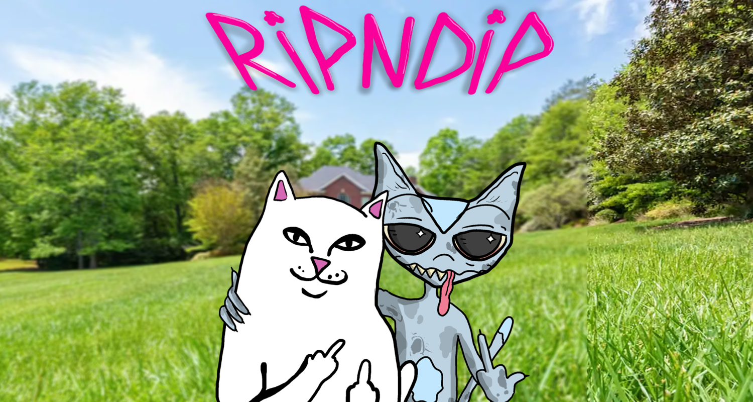 RIPNDIP (1).png