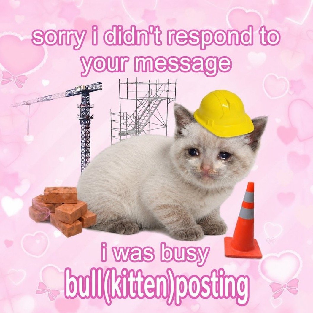 Kitten Posting